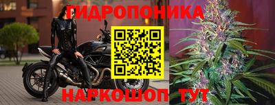 ешки Кунгур