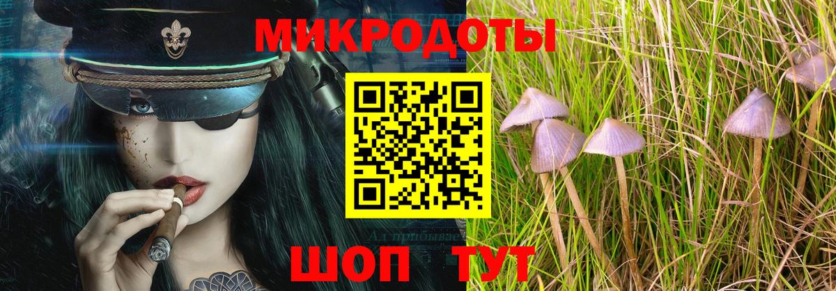 Галлюциногенные грибы MAGIC MUSHROOMS  Вход с VPN  Качканар 